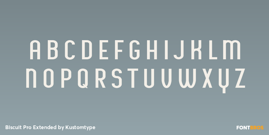 Biscuit Pro Extended Font Poster #2
