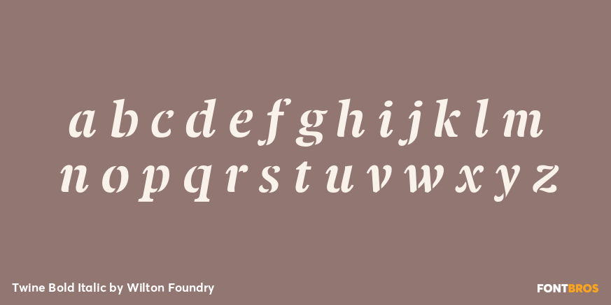 Twine Bold Italic Font Poster #3