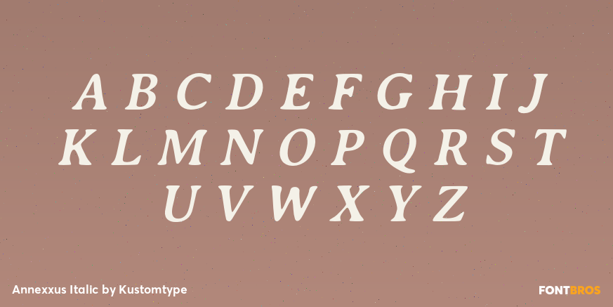 Annexxus Italic Font Poster #1