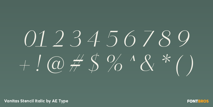 Vanitas Stencil Italic Font Poster #1