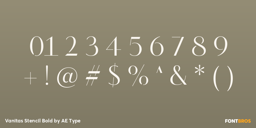 Vanitas Stencil Bold Font Poster #1