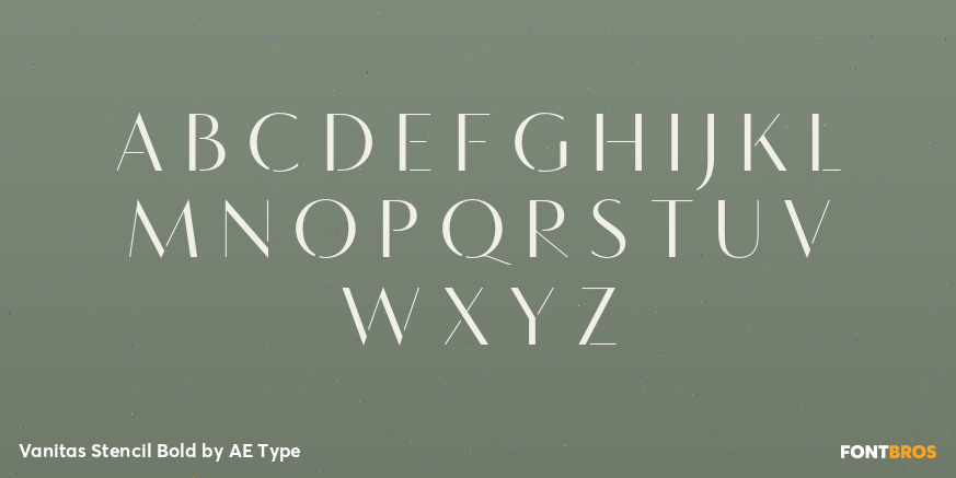 Vanitas Stencil Bold Font Poster #2