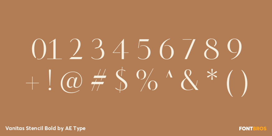 Vanitas Stencil Bold Font Poster #4