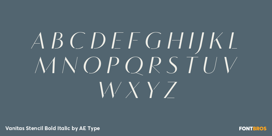Vanitas Stencil Bold Italic Font Poster #1