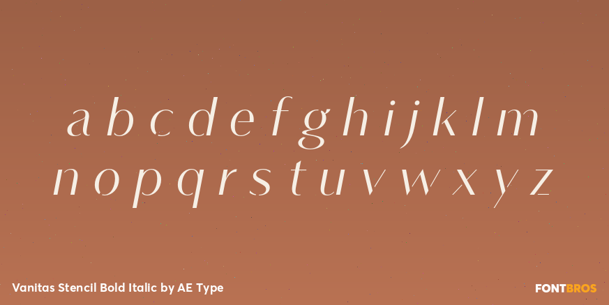 Vanitas Stencil Bold Italic Font Poster #1