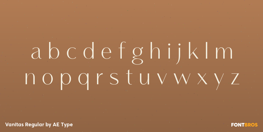 Vanitas Regular Font Poster #3