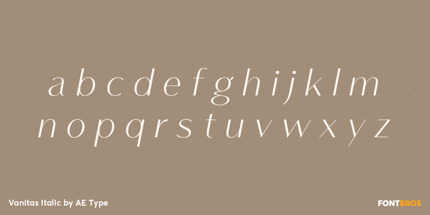 Vanitas Italic Font Poster #3