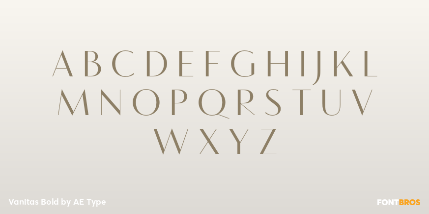 Vanitas Bold Font Poster #2