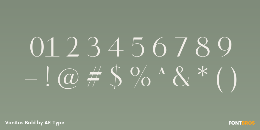 Vanitas Bold Font Poster #4