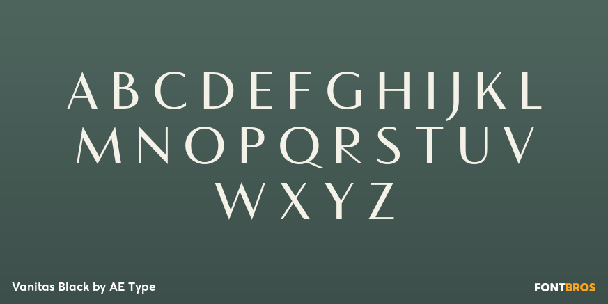 Vanitas Black Font Poster #2