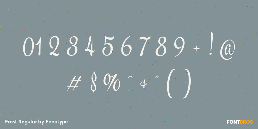 Frost Regular Font Poster #4