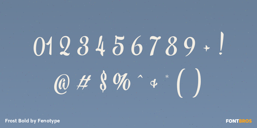 Frost Bold Font Poster #1