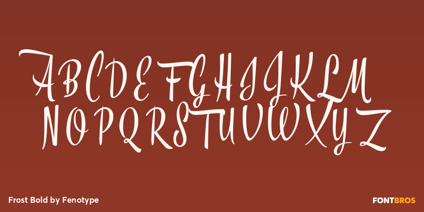 Frost Bold Font Poster #2