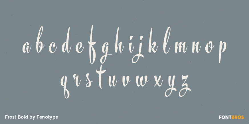 Frost Bold Font Poster #3