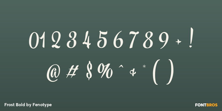 Frost Bold Font Poster #4