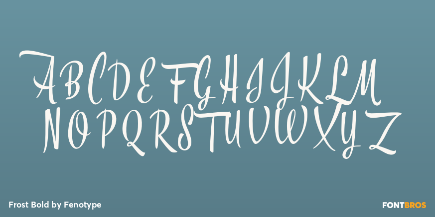 Frost Bold Font Poster #1