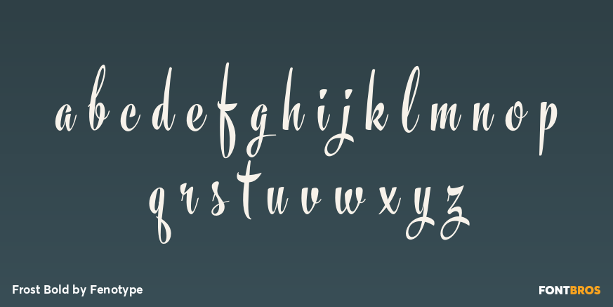 Frost Bold Font Poster #1