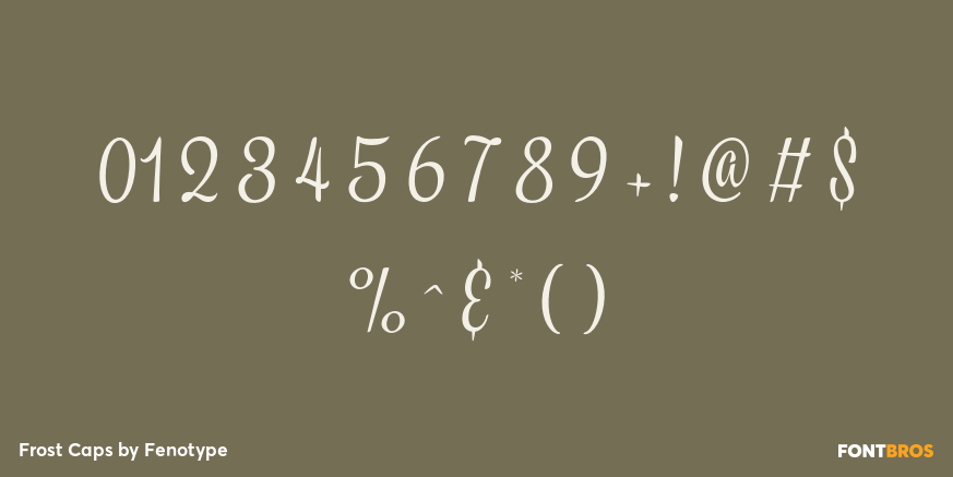 Frost Caps Font Poster #4