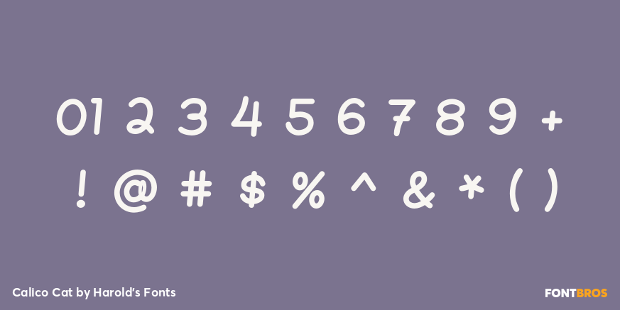 Calico Cat Font Poster #4