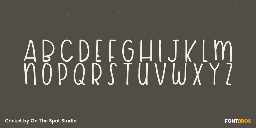 Cricket Font Poster #3