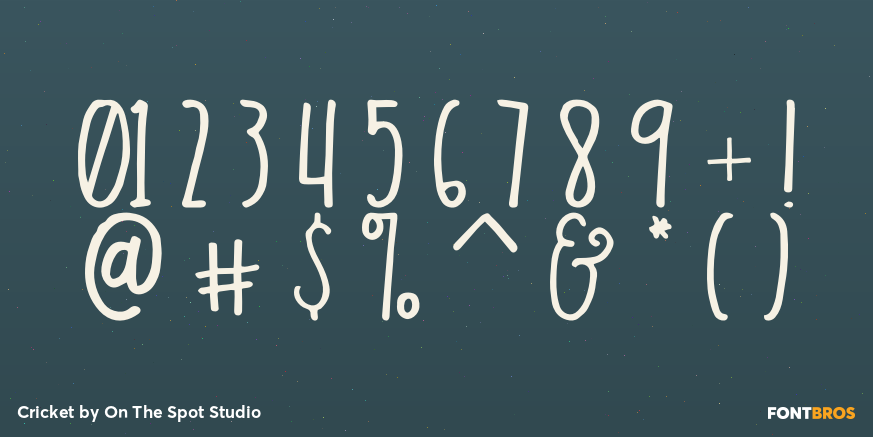 Cricket Font Poster #4