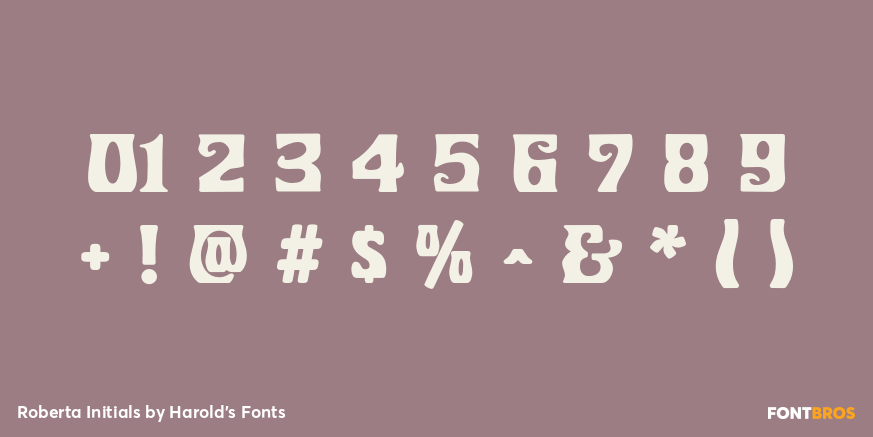 Roberta Initials Font Poster #4