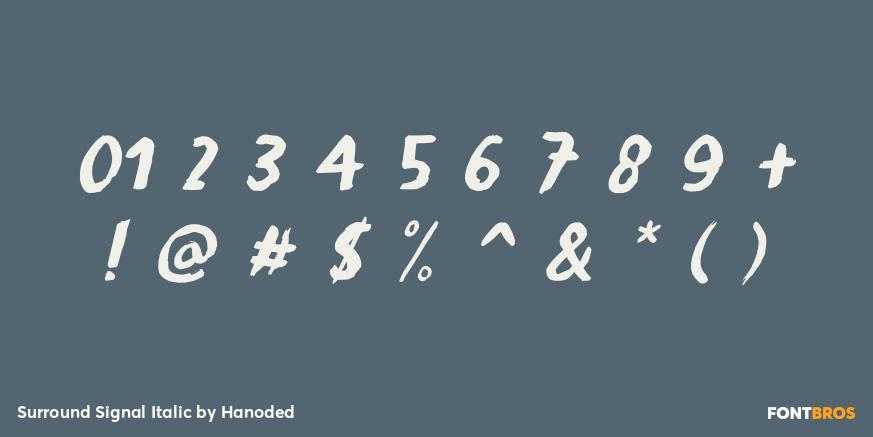 Surround Signal Italic Font Poster #4