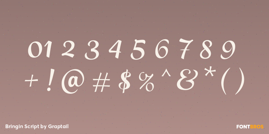 Bringin Script Font Poster #4