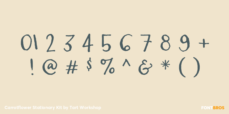 Carrotflower Stationary Kit Font Poster #1