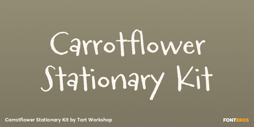 Carrotflower Stationary Kit Poster