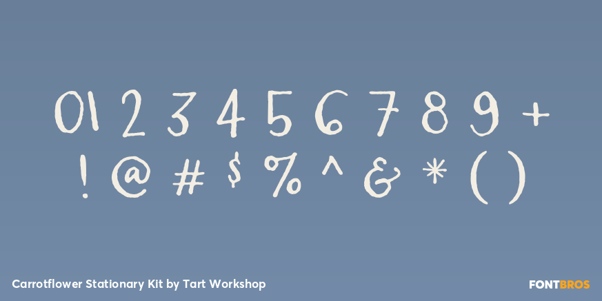 Carrotflower Stationary Kit Font Poster #4