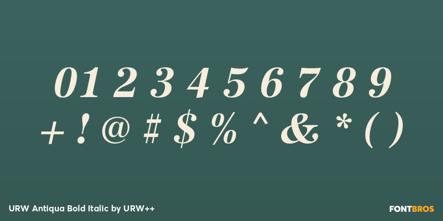 URW Antiqua Bold Italic Font Poster #1