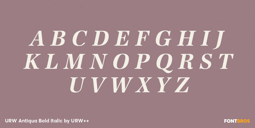 URW Antiqua Bold Italic Font Poster #2