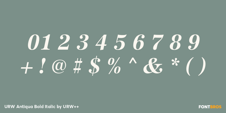 URW Antiqua Bold Italic Font Poster #4