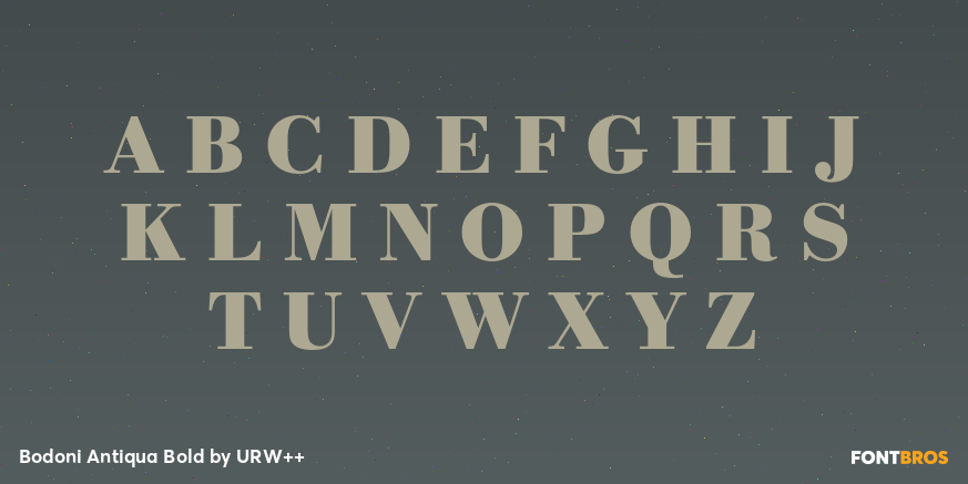 Bodoni Antiqua Bold Font Poster #1