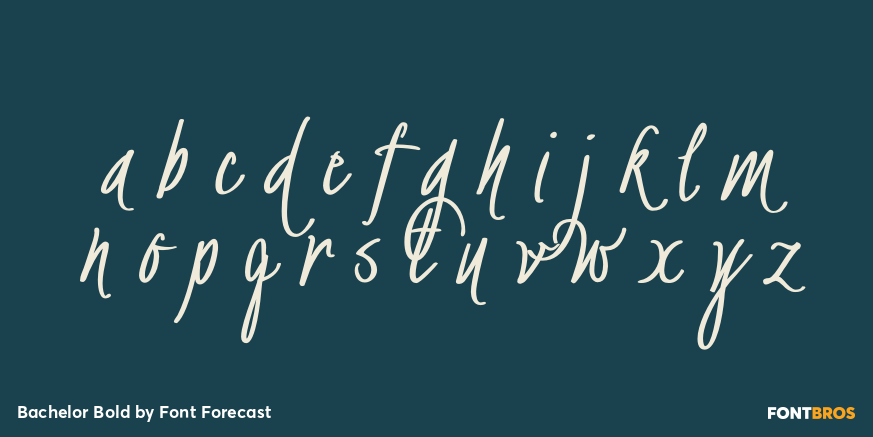 Bachelor Bold Font Poster #3