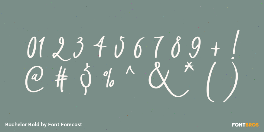 Bachelor Bold Font Poster #4