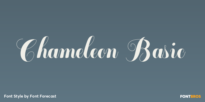 Chameleon Basic Poster