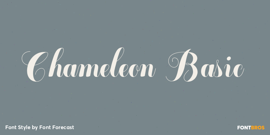 Chameleon Basic Poster