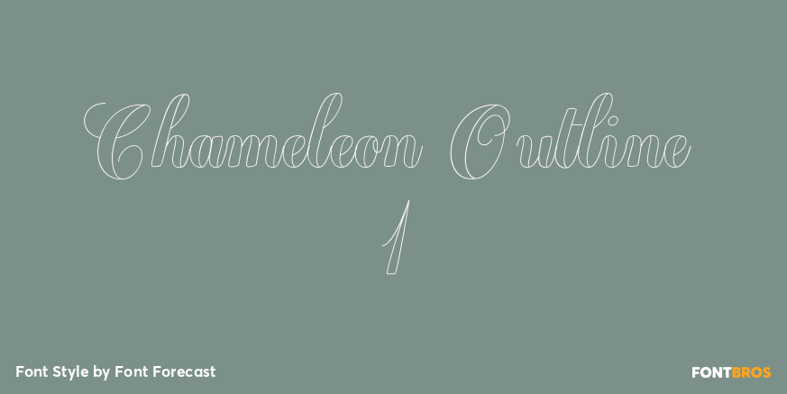 Chameleon Outline 1 Poster