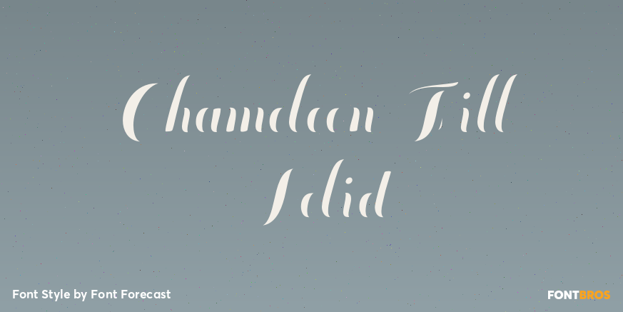 Chameleon Fill Solid Poster