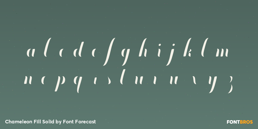 Chameleon Fill Solid Font Poster #3