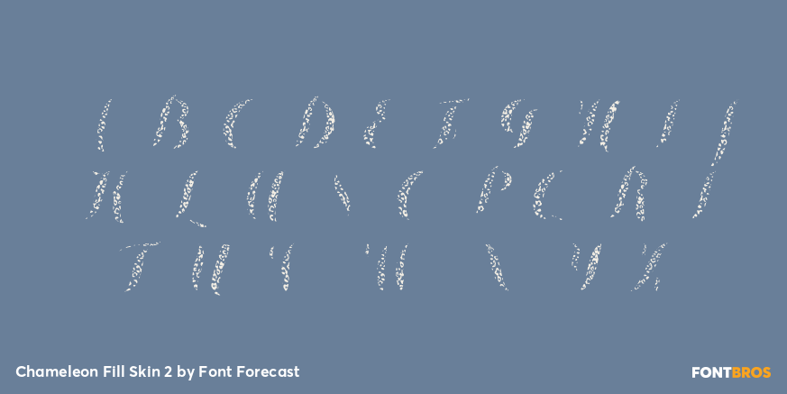 Chameleon Fill Skin 2 Font Poster #2