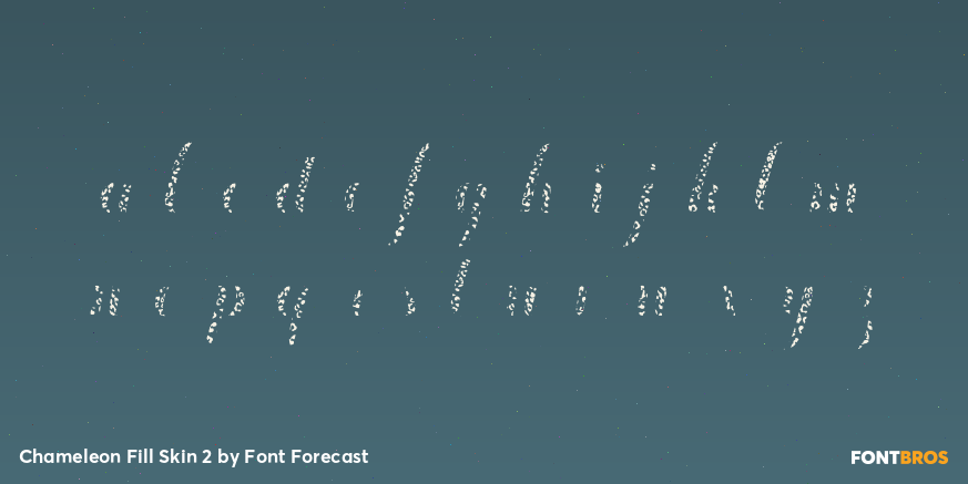 Chameleon Fill Skin 2 Font Poster #3
