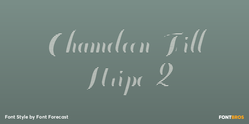 Chameleon Fill Stripe 2 Poster