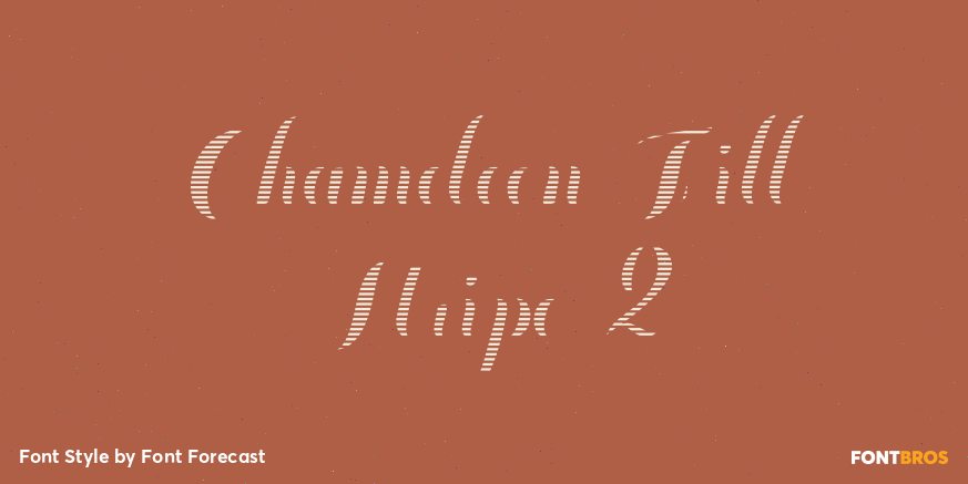 Chameleon Fill Stripe 2 Poster