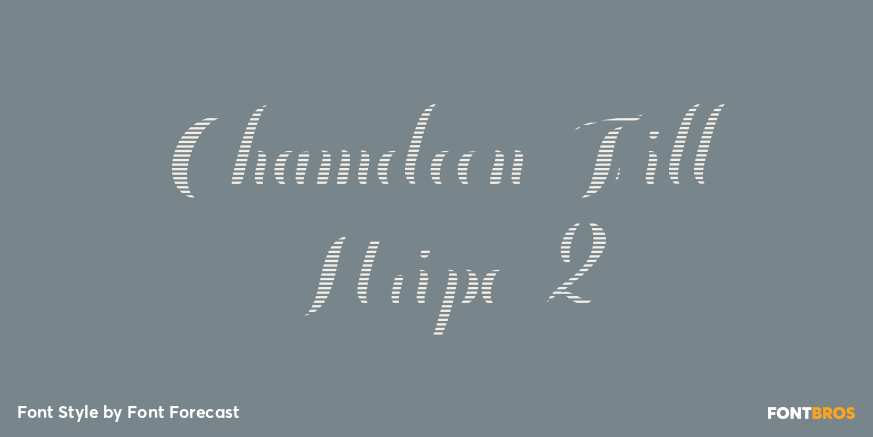 Chameleon Fill Stripe 2 Poster