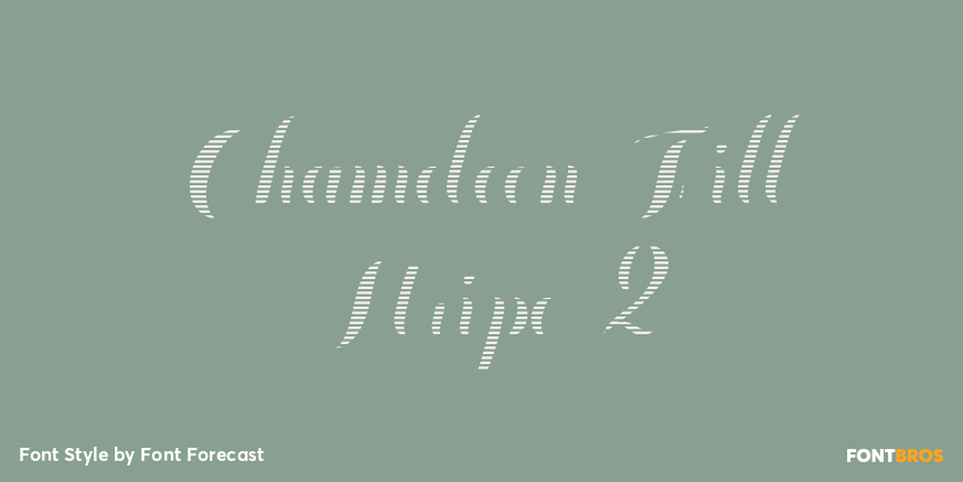 Chameleon Fill Stripe 2 Poster