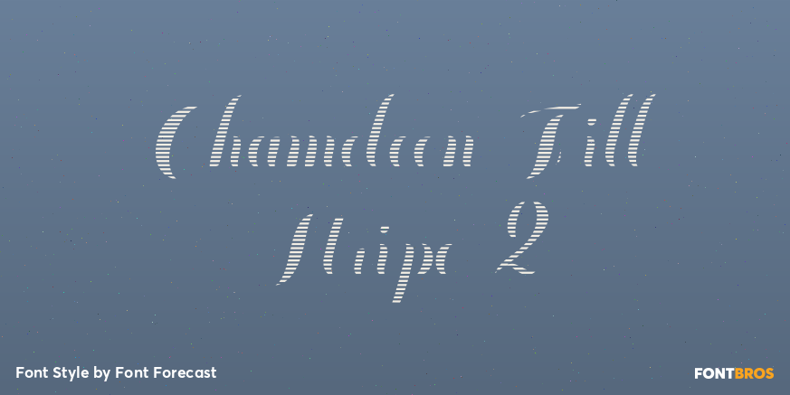 Chameleon Fill Stripe 2 Poster