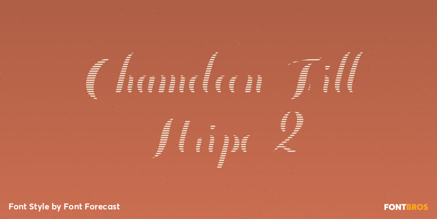 Chameleon Fill Stripe 2 Poster